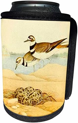 3dRose Ретро рисунка на птица-елен-убиец на птици с гнездовыми яйца. - Опаковки за бутилки-охладители (cc-364678-1)