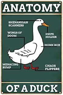 Реколта Лидице Знак Duck Knowledge Метална Лидице Знак Анатомия на Патици Забавен Плакат с Патица Ретро Монтиране на