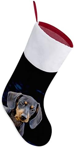 Черно Кученце Дакел, Червени Коледни Празници Чорапи, Украса за Дома, Коледна Елха, Висящи Чорапи за Камината