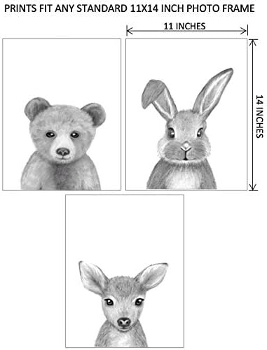 Комплект от 3 Рисунки за детска стая с горски животни | 11 x 14 | Мечката, Заекът и Елена, монтиран на стената, определени с участието на горски животни - Декор за тематич?