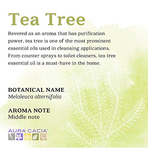 Aura Cacia Чисто Етерично масло от Чаено дърво | GC / MS Тестван за чистота | 473,2 мл (16 течни унции) | Melaleuca