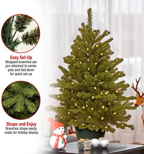 Изкуствена Коледна елха Tree National Company Real Feel За въвеждане на групи| Включва Бели тела и Поставка | Хэмптонская
